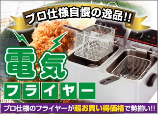 �ŵ��ե饤�䡼